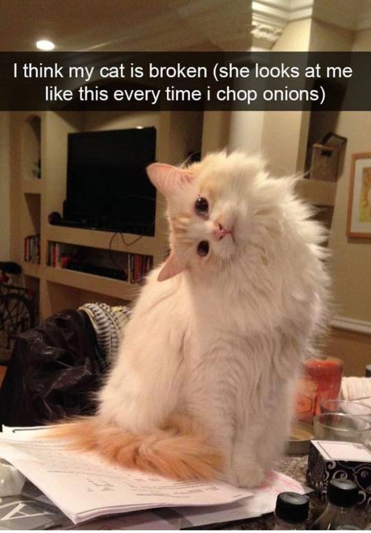 I hope this counts lol