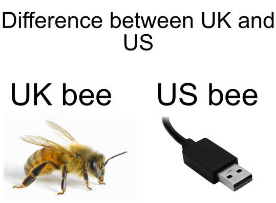 I hope this will BEE a good meme