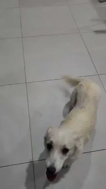 I just adopted this little girl and have some doubts