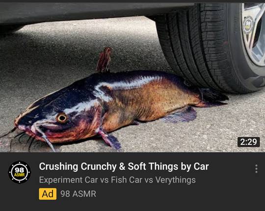 I keep getting this ad