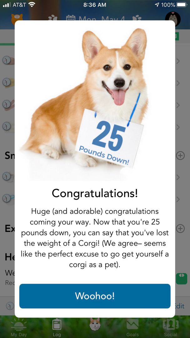 I lost a corgi!