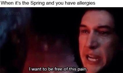 I’m being torn apart