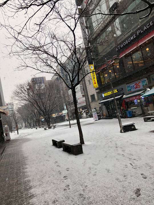 I ‘m in Korea to BizTrip. It is Snowing!!!