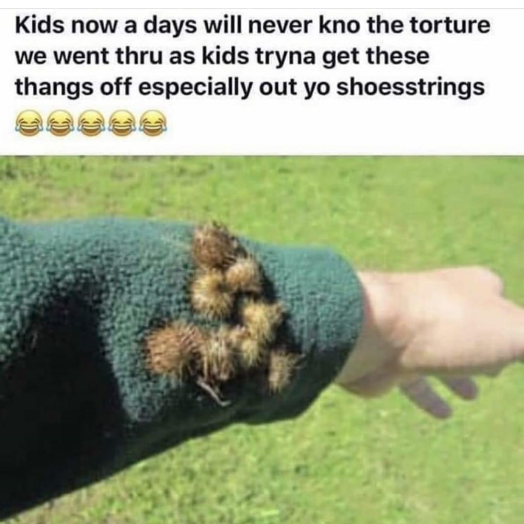 I’m pretty sure Burdock still exists...