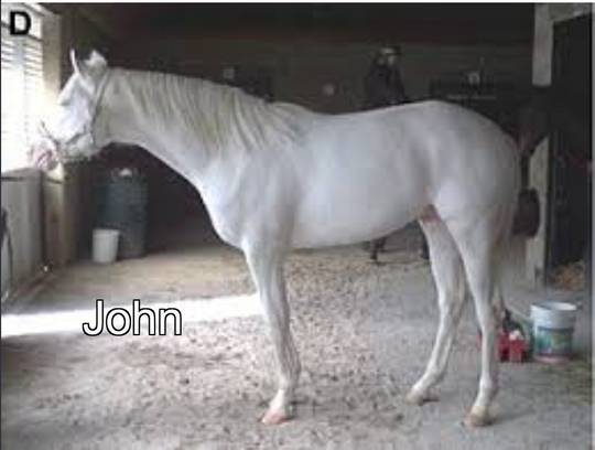 i made Juan a basic white guy...