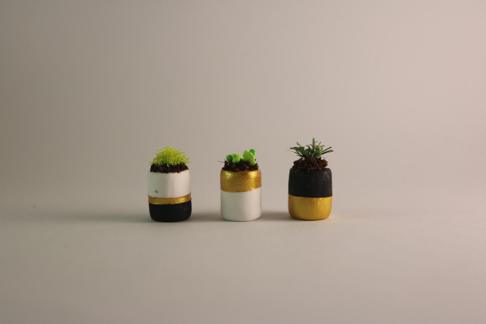 I made these miniature pot plants from polymer clay. Tutorial video is in the comments.