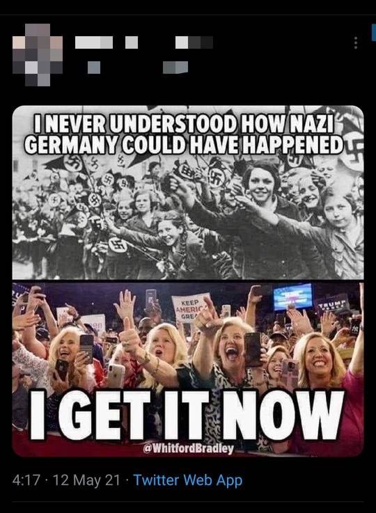 Ahh yes the classic Trump supporter = nazi