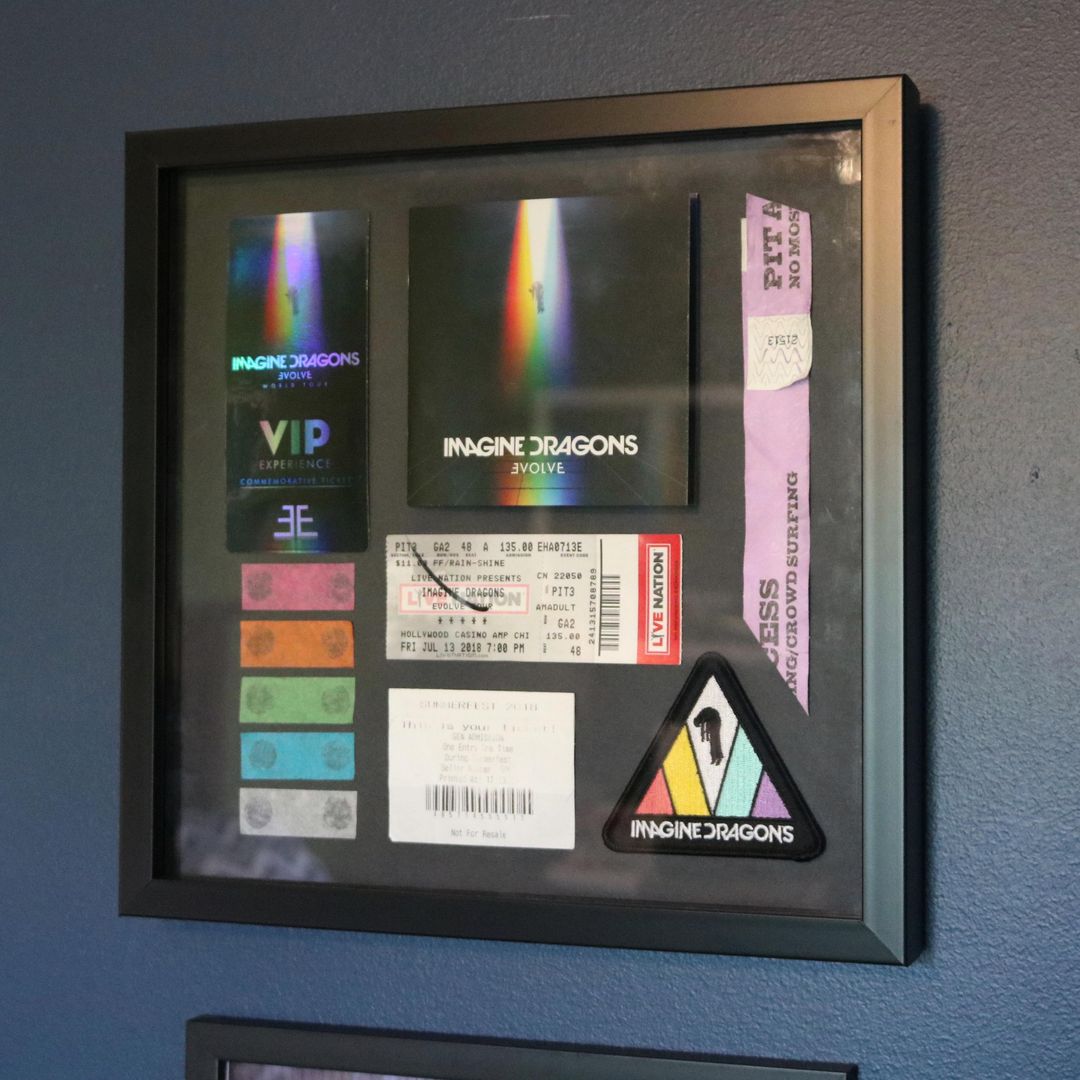 I put together a shadow box to commemorate the Evolve Tour shows I went to