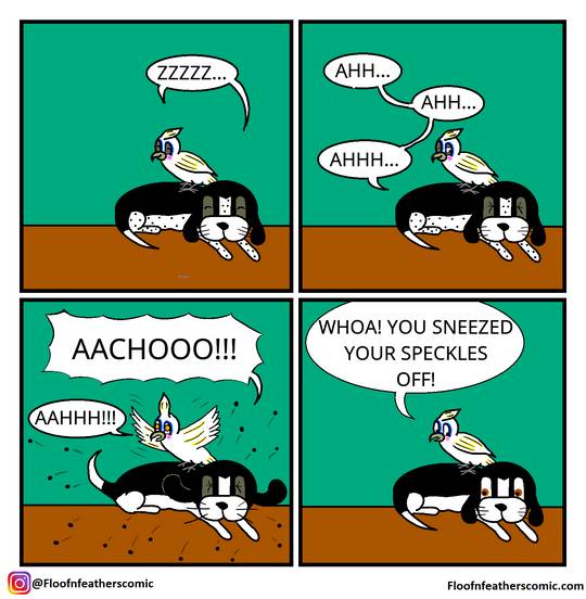 I recently started a webcomic about our Goffins cockatoo Olivia and her brother Finnegan: "Floof n' Feathers", and wanted to spread the love to my fellow bird enthusiasts!