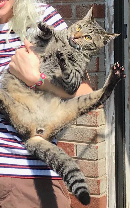 I still cannot believe my girlfriend captured this blep on camera