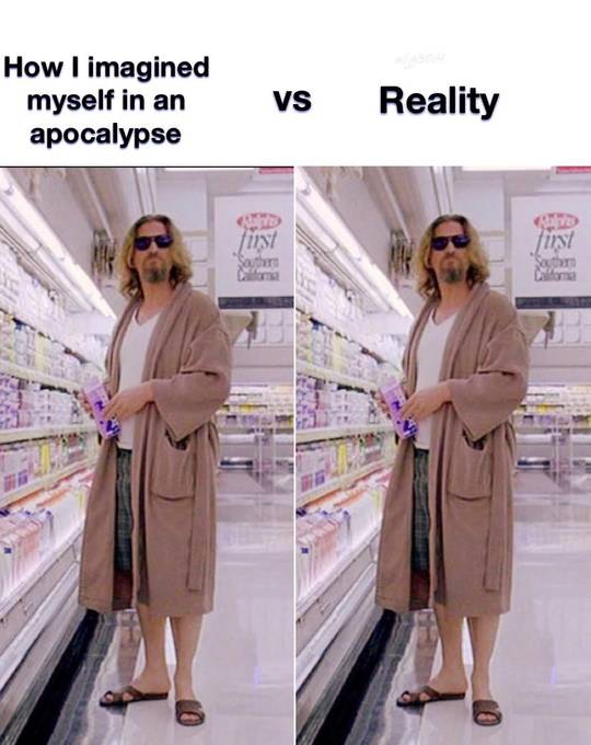 I updated the other meme to better describe myself