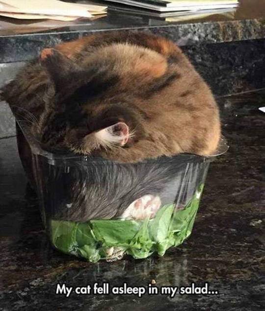 I was told this belongs here