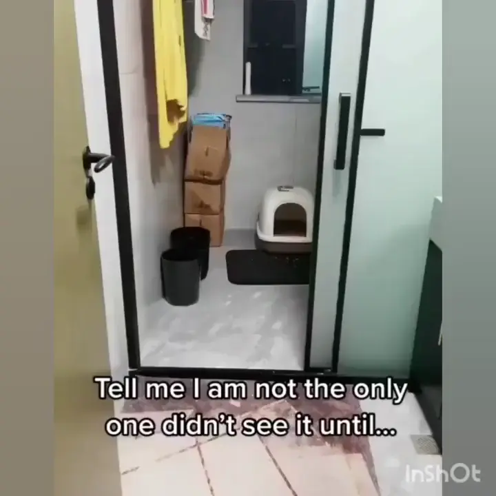 I wasn't expecting that