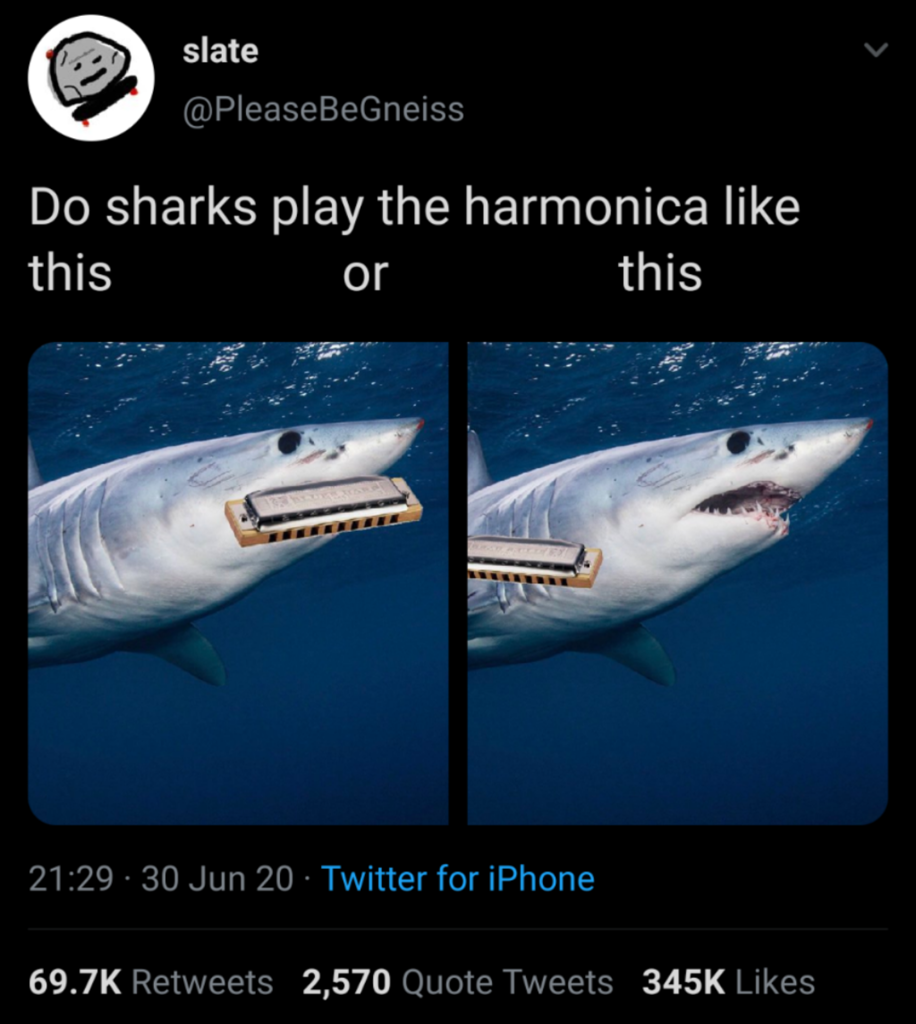 If Bob were a shark . . . ?