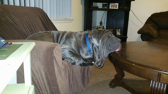 If I fit i sit