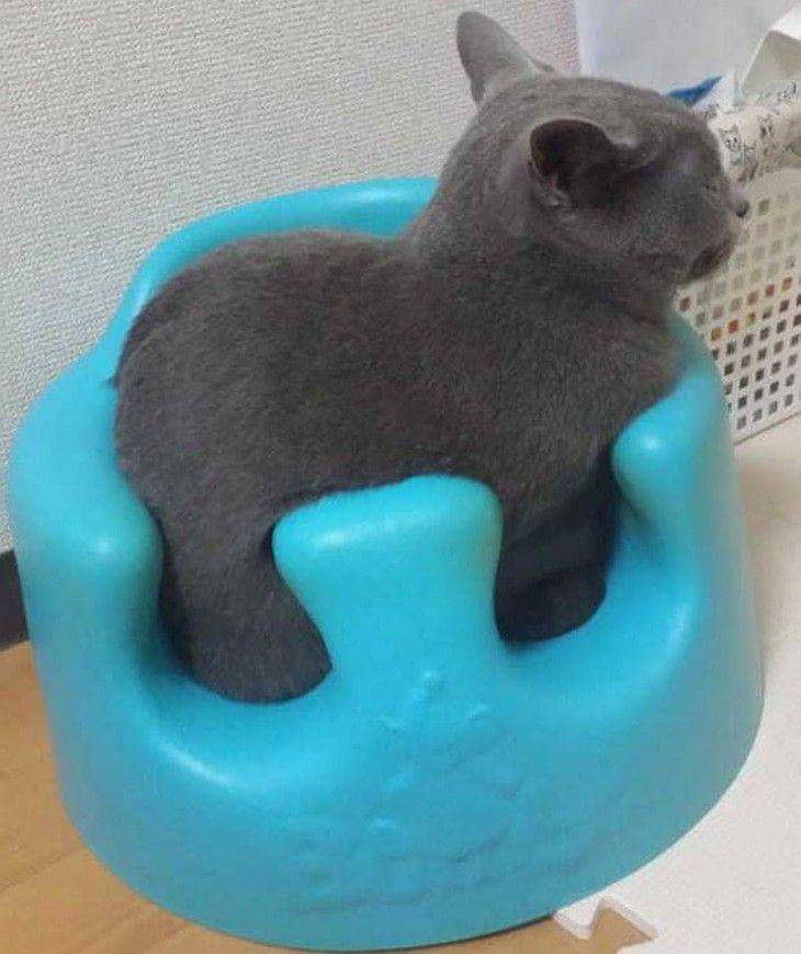 If it fits