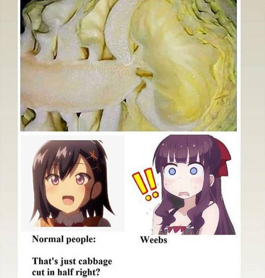 Do you get it