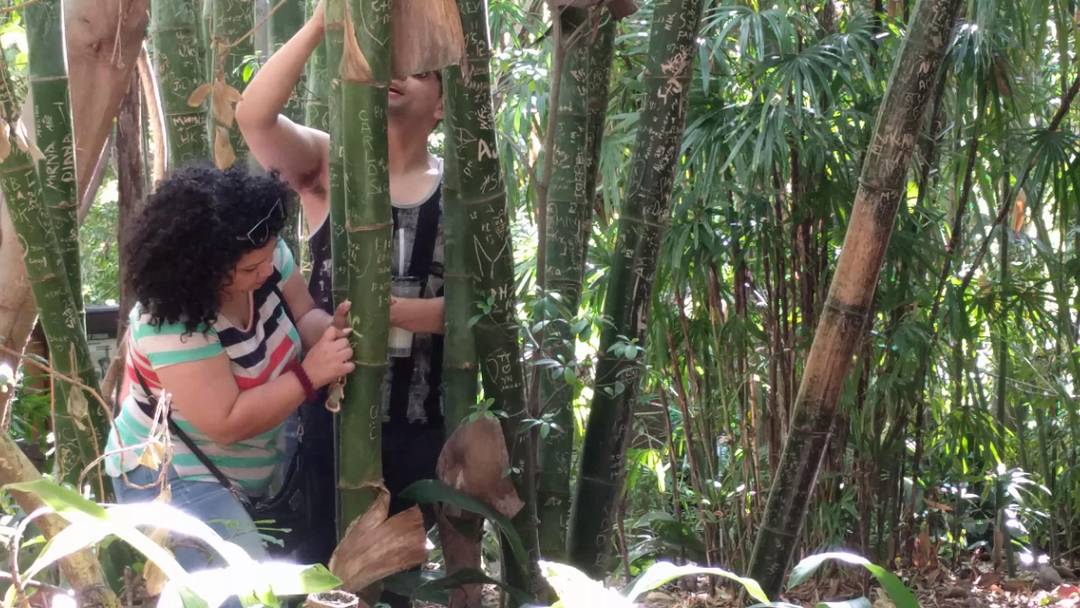 If you visit the world famous San Diego Zoo please don't do this.