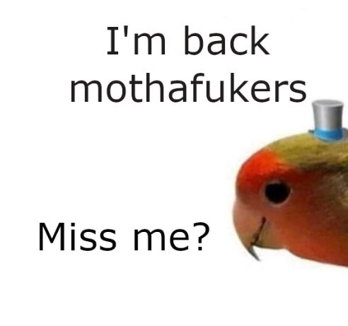 I'm back