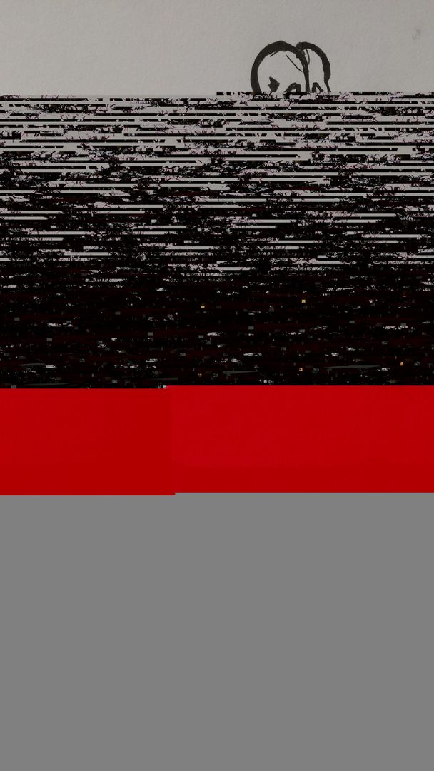 Image corrupted but thumbnail did not