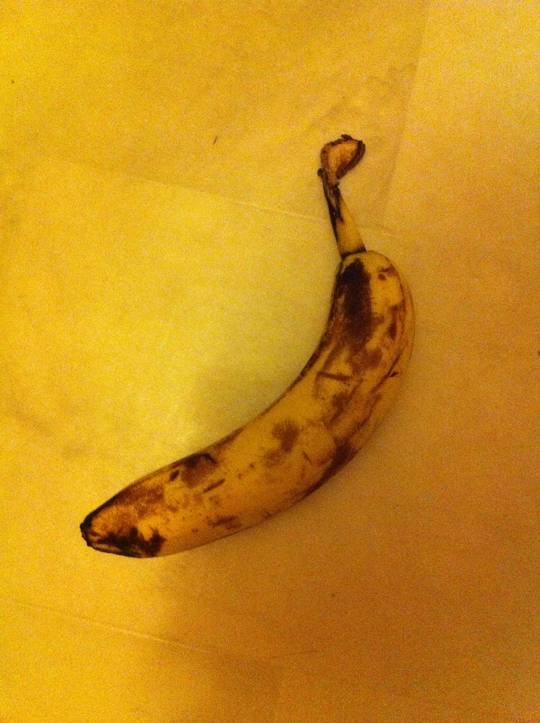 In loving memory of Lou Reed.