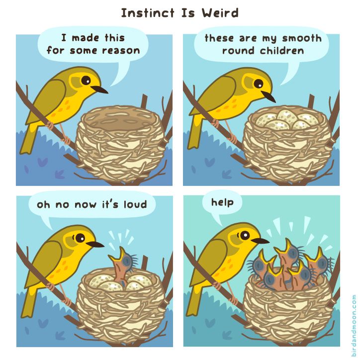 Instinct is Weird. :-)