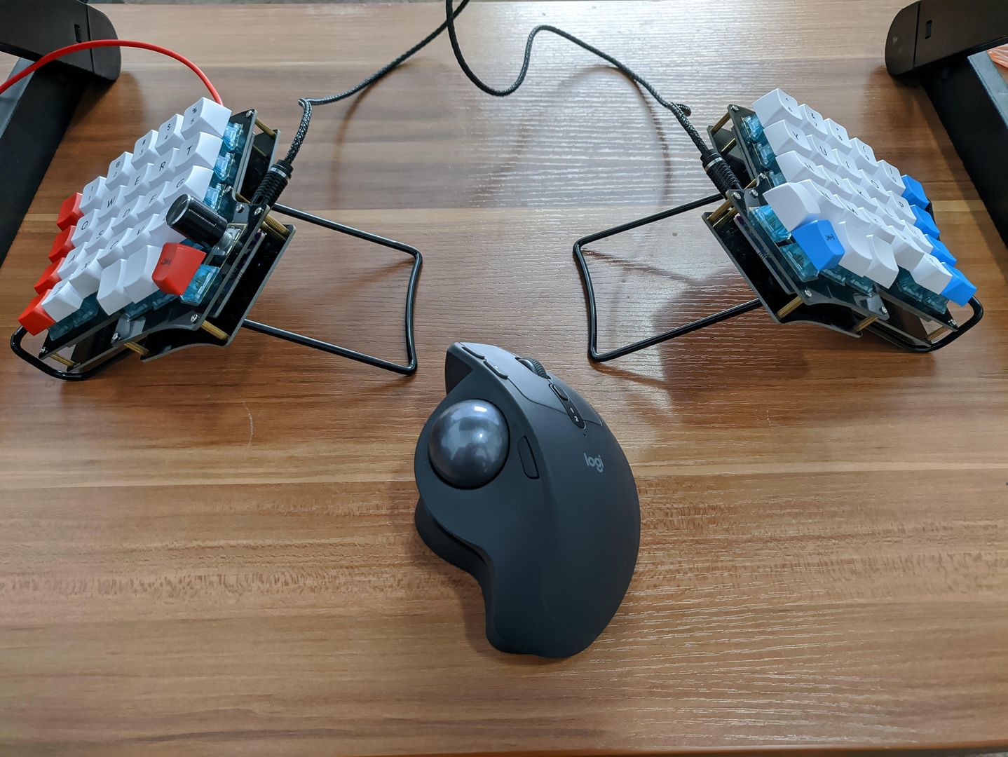 Iris with simple tenting setup