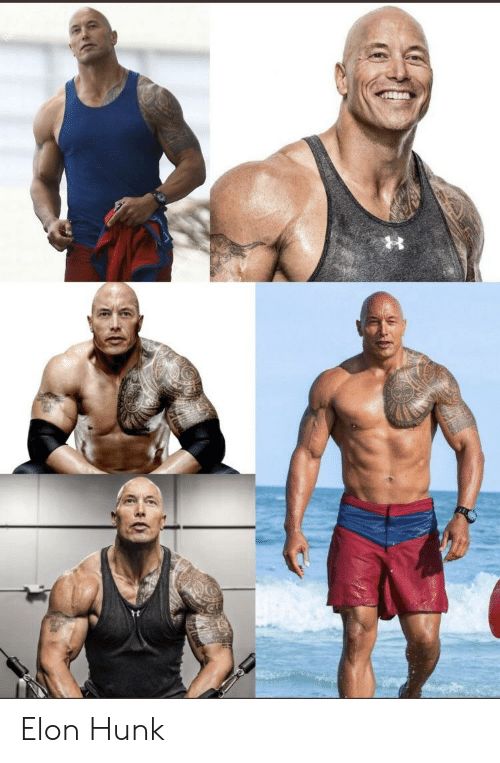 Is elon natty?