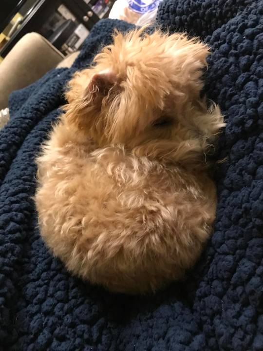 Is he going to get a ticket, officer?