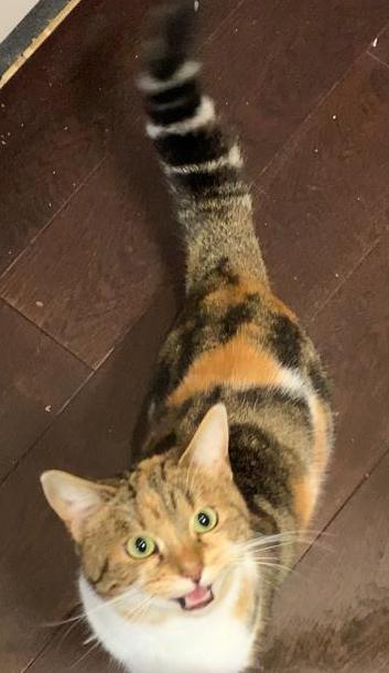 Is someone excited for their dinner?
