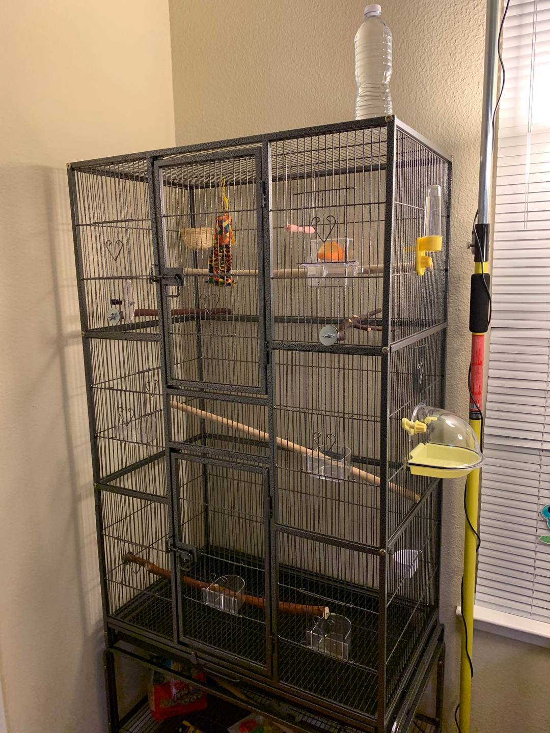 Is this cage too big for a canary? Details in comments