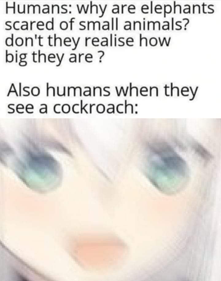 It defines who we are.