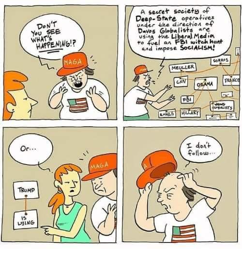 The insane Parler Nazis are not fans of Occam's Razor