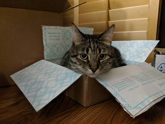 It’s just the right size!