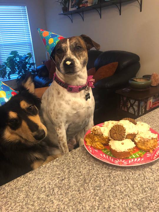 It was her 6th birthday today!