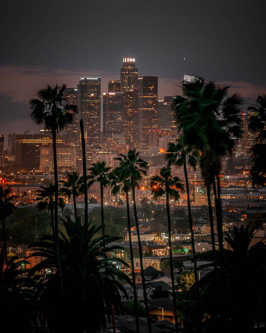 ITAP L.A vibes