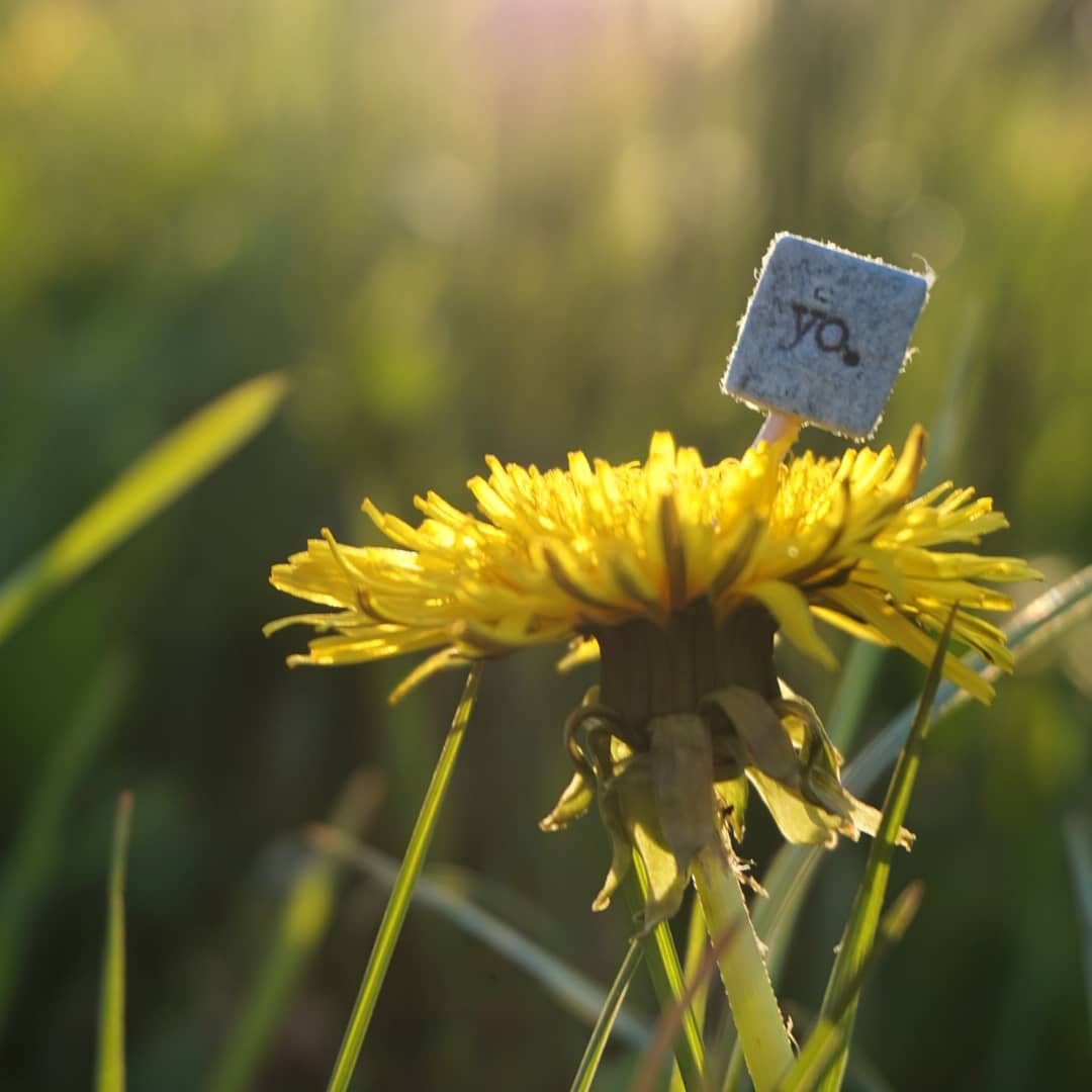 ITAP of a tiny paper sign