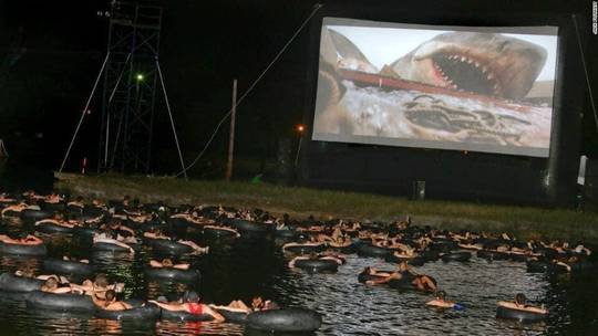 Jaws on the water, the scariest way to watch the world’s most recognized shark film.