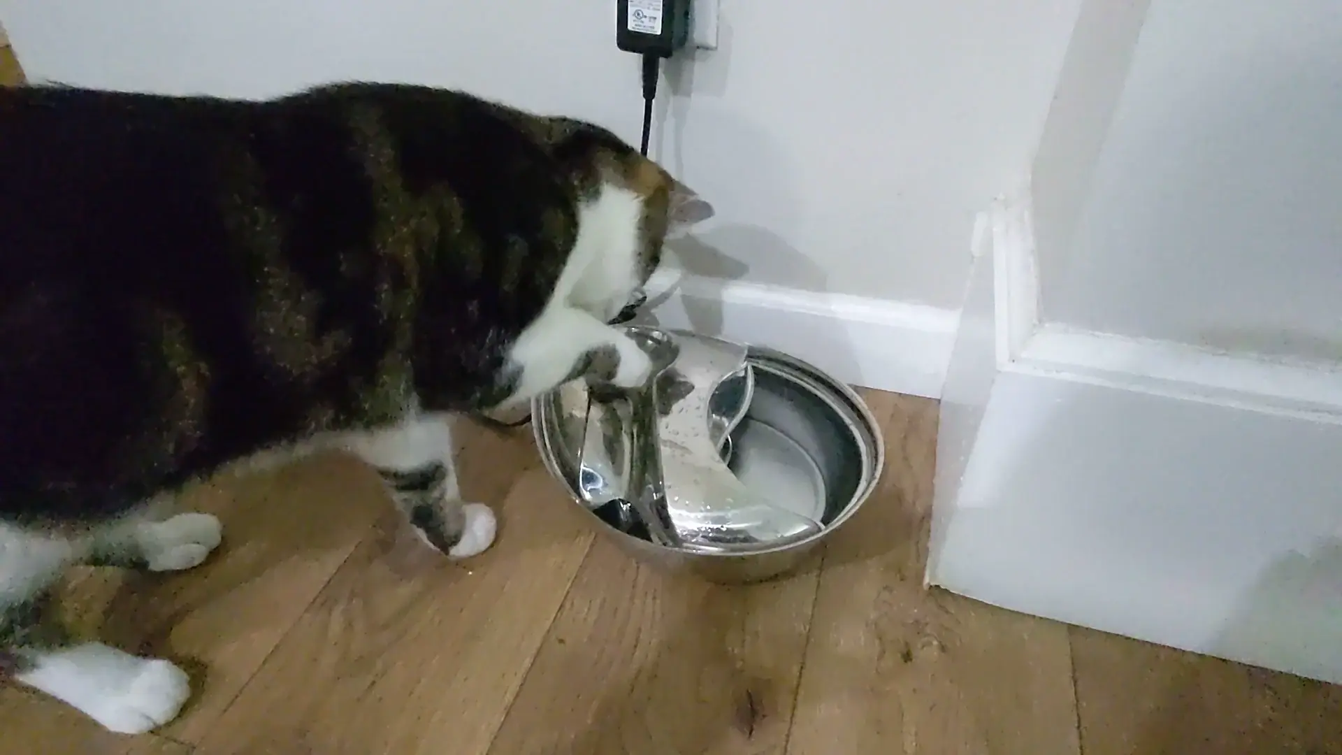 Jeff calculating that water is wet
