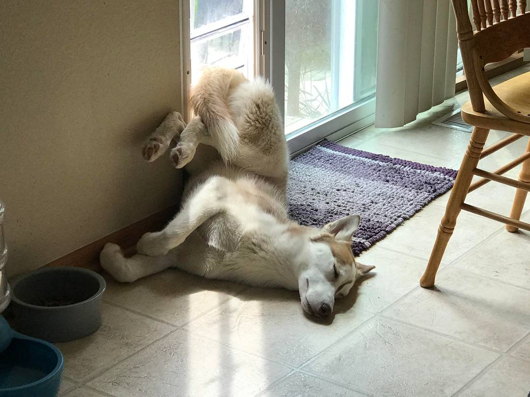Just a normal, comfortable sleeping position.