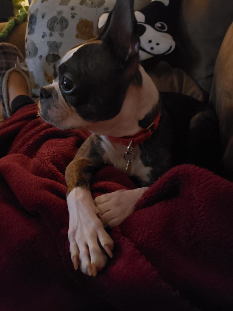 Just watching some Netflix