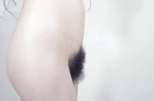 Kelsey Dylan's bush [GIF]