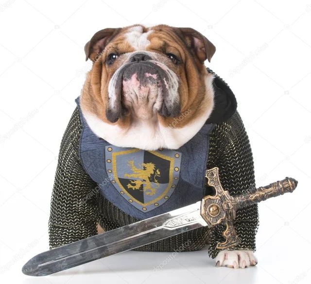 Knight Dog