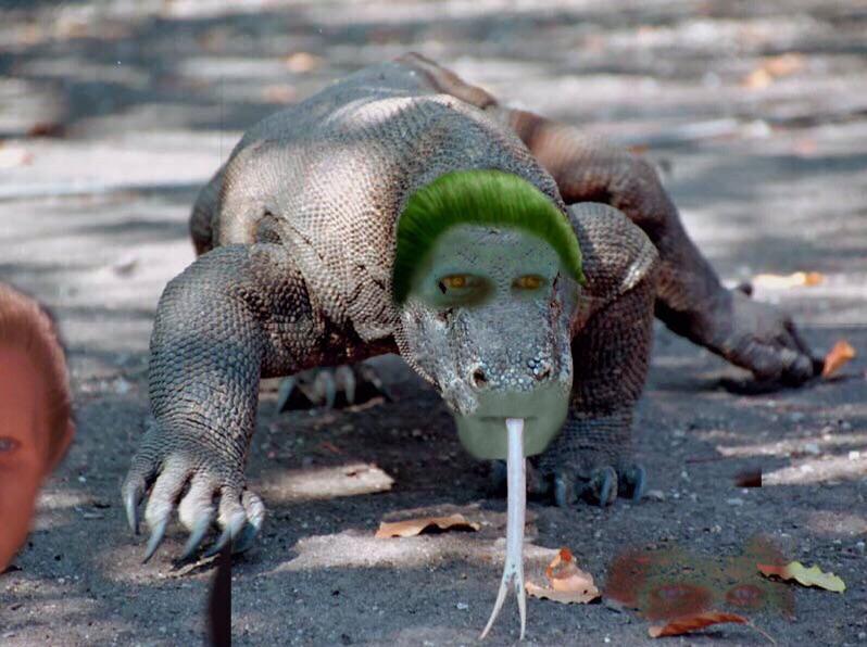 KomOdo Dragon (Indigenous to Risa) | Scrolller