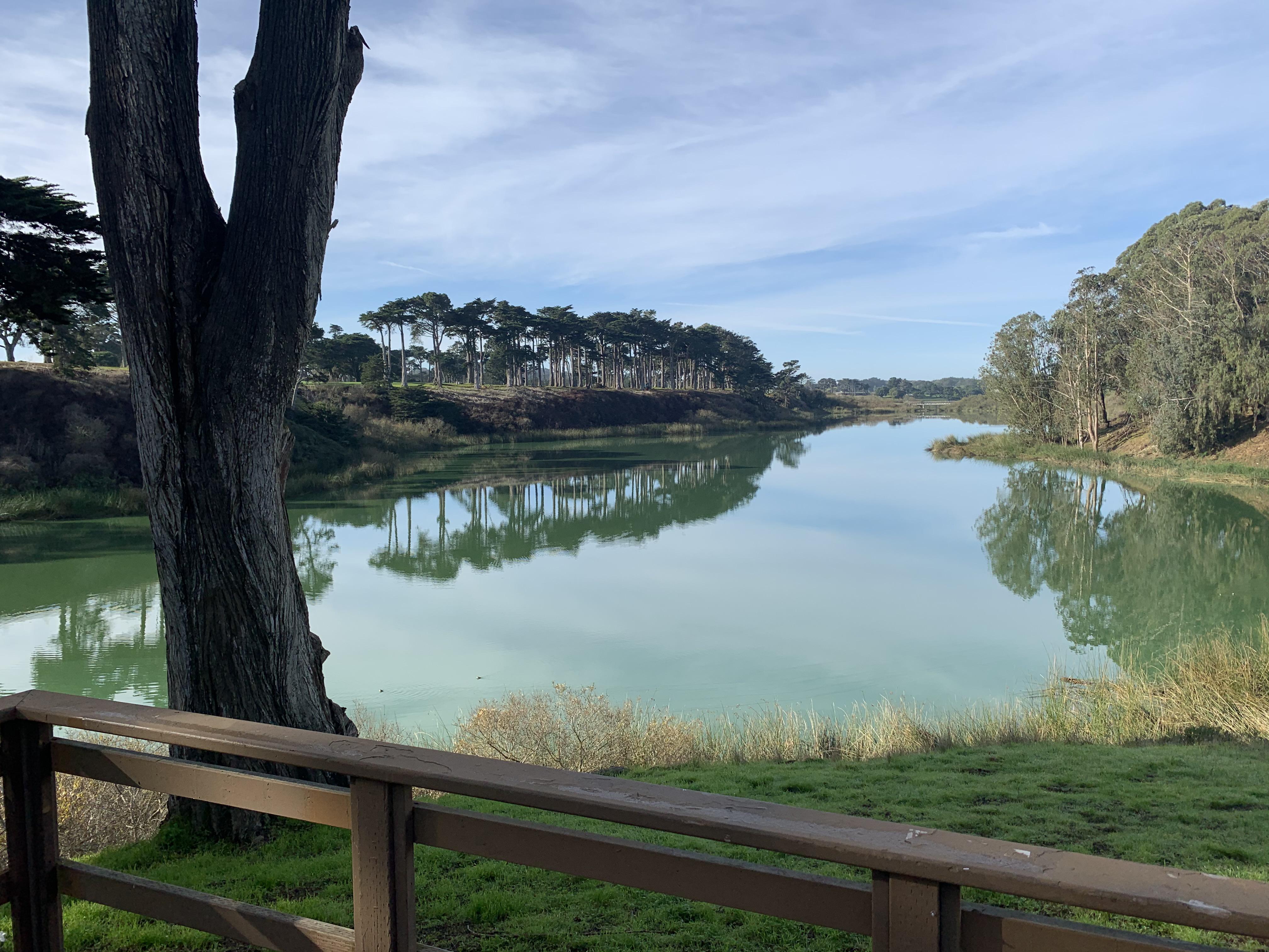 Lake Merced, SF, CA [1080x1080] [OC] | Scrolller