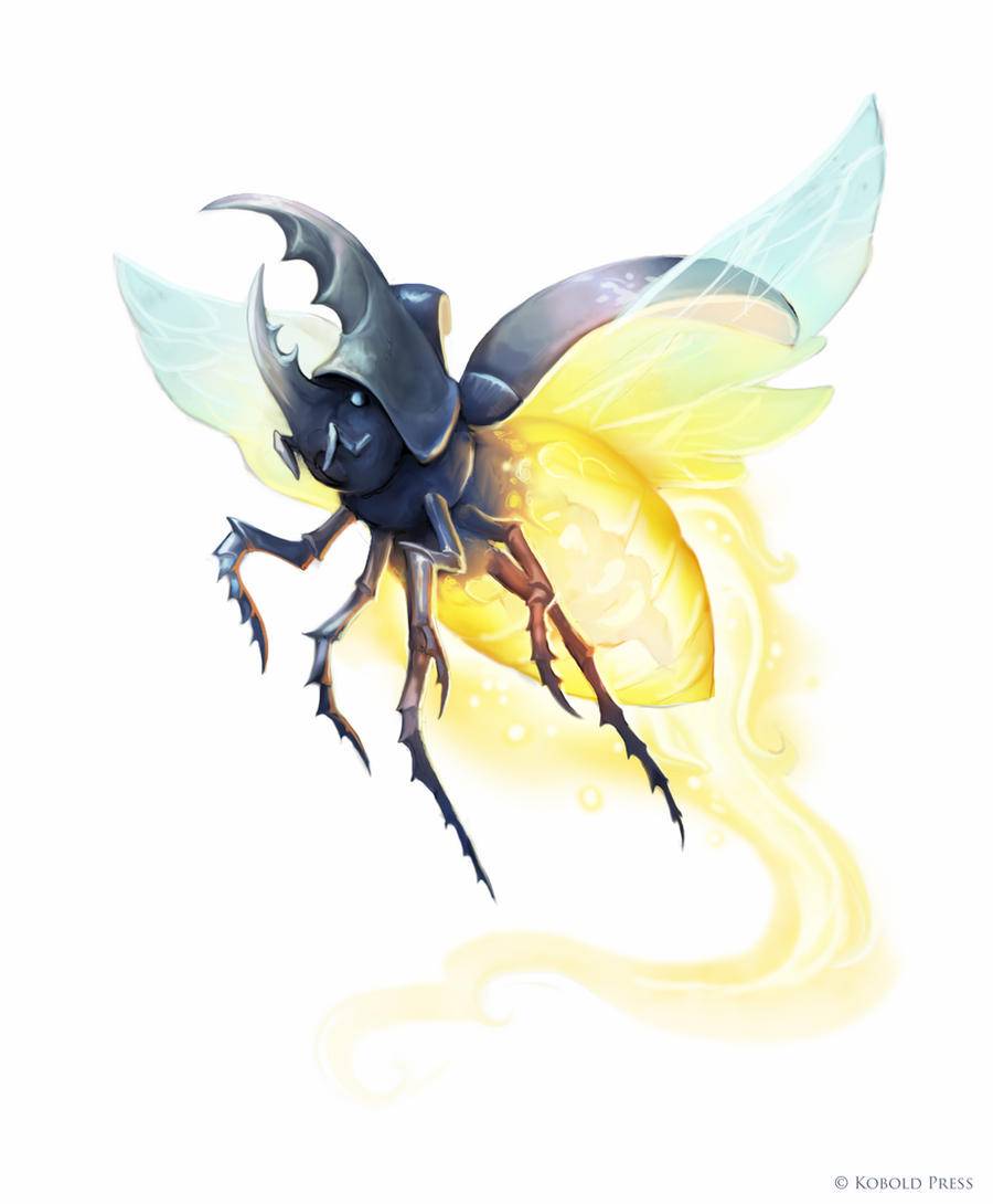 Lantern Beetle by Will O'Brien