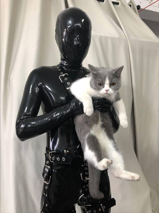 latex bondage hood furry