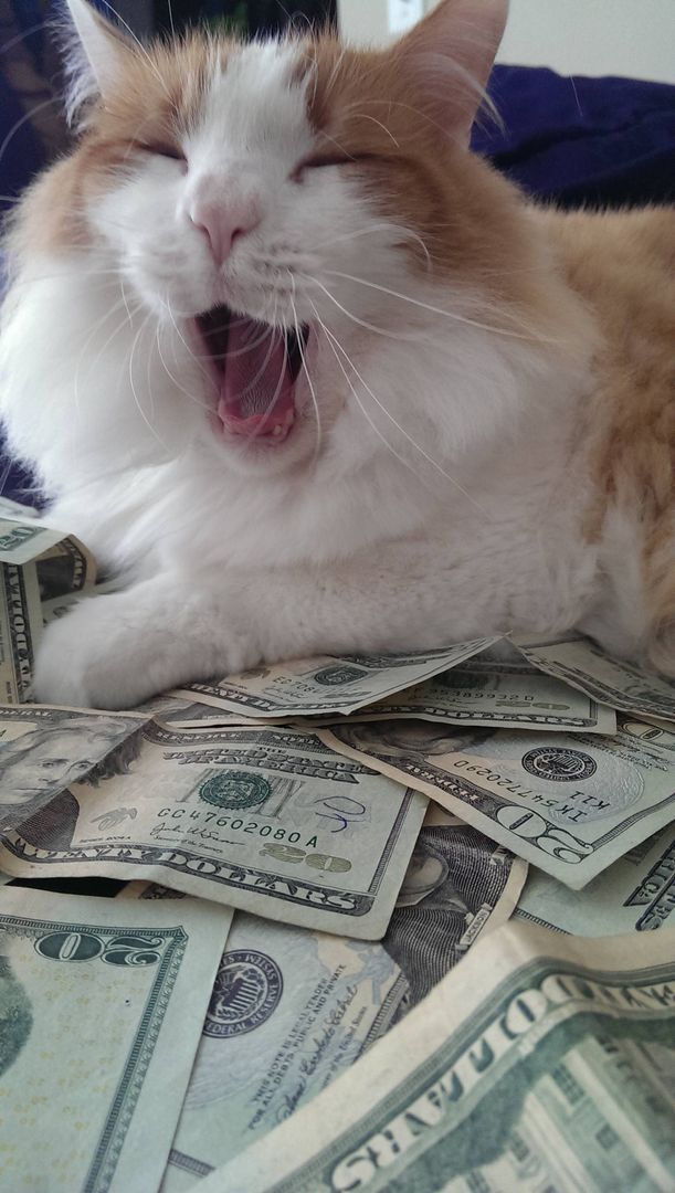 Lazy Money