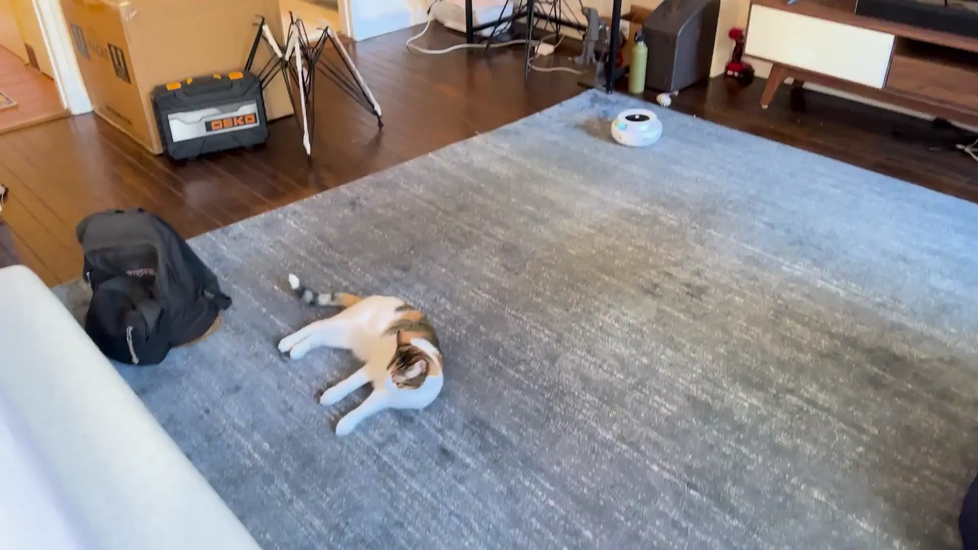 Learning some choreography