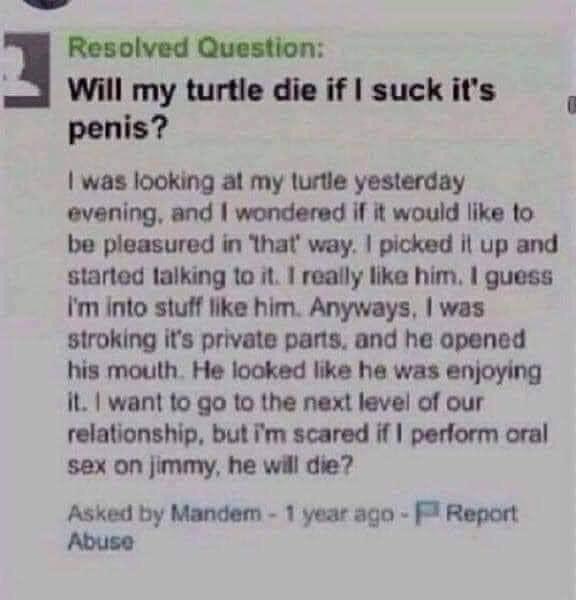 Leave animals alone!